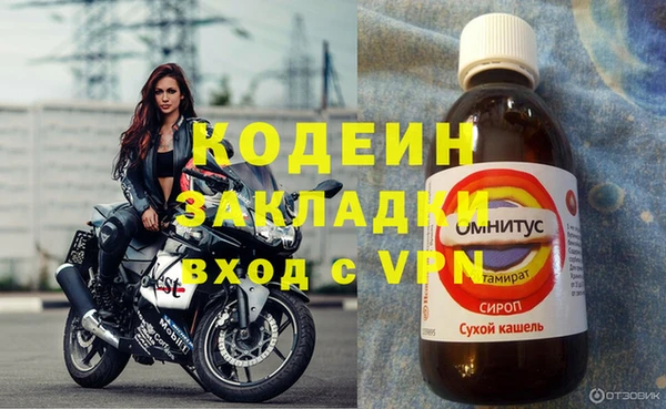 эйфоретик Майский
