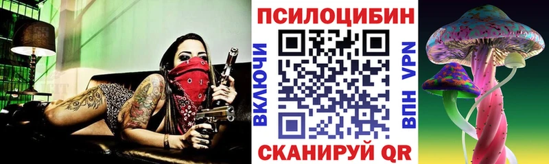 Галлюциногенные грибы прущие грибы  хочу   Мостовской 