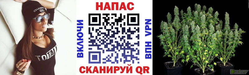 Бошки марихуана семена Мостовской